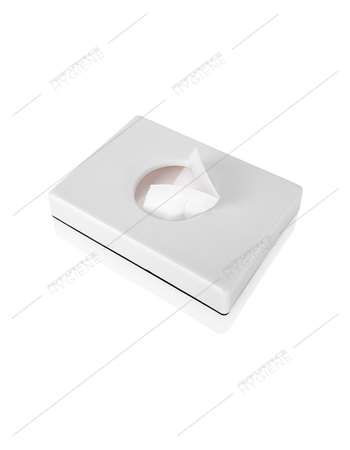 Image de Distributeur plastique mural sacs hygiéniques (SP)