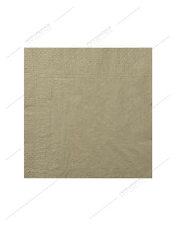 Serviettes 20x20cm ouate 2 Plis (Argile) - carton 1800