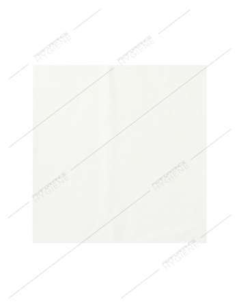 Serviettes 20x20cm ouate 2 Plis (Blanc) x100  (1C=40)