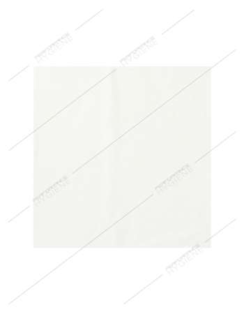 Image de Serviettes 20x20cm ouate 2 Plis (Blanc) x100 (1C=40)