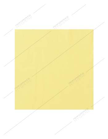 Serviettes 30x30cm ouate 2 Plis (Vanille) - carton 3200