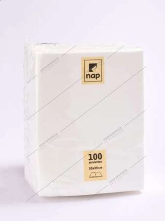 Serviettes 30x39cm ouate 2 Plis (Blanc) - carton 2400