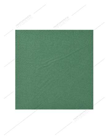Image de Serviettes 39x39cm ouate 2plis (Vert sapin) x100