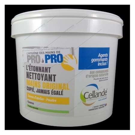 Image de Savon poudre mains atelier abrasif doux amande SPAMA 5L