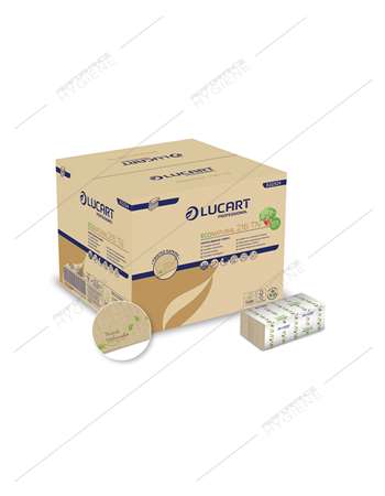 Image de Serviettes 16x24cm 2P pliées Z ECONATURAL - carton 6000