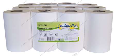 Image de Bobine 200F à DC pure ouate blanche Ecolabel 2P - lot 12