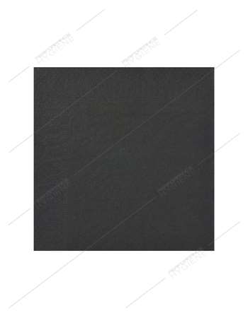 Image de Serviettes 20x20cm ouate 2 Plis (Noire) - carton 1800