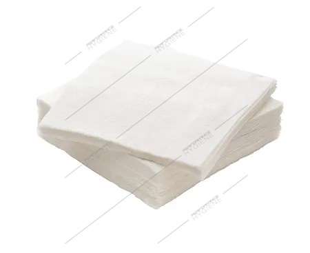 Serviettes 30x30cm ouate 2 Plis (Blanc) x 200 (1C=16)
