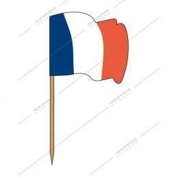 Image de Piques bois petits drapeaux FRANCE - lot de 144