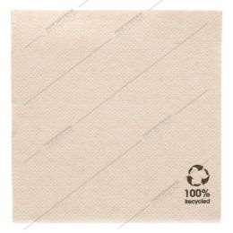 Image de Serviettes 20x20cm double point ecolabel NATURE recycléx2400