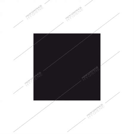 Image de Serviettes 20x20cm double point ecolabel (noire) -lot de 100
