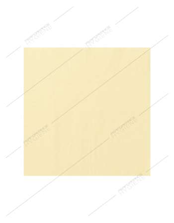 Serviettes 39x39cm ouate 2 Plis (Ivoire) - carton 1800
