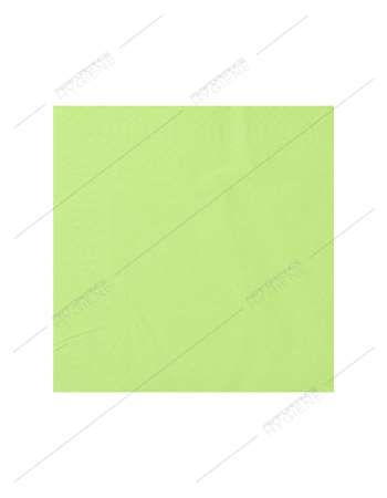 Serviettes 39x39cm ouate 2 Plis (pistache) - carton 1800