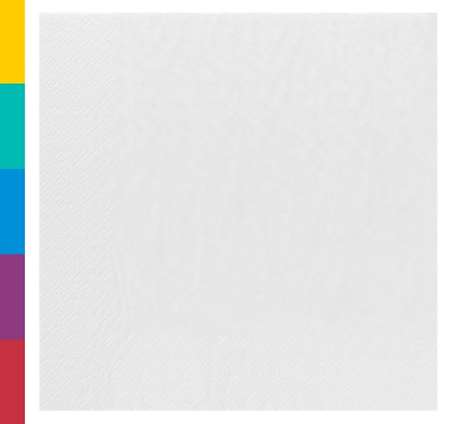 Image de Serviettes 39x39cm ouate 2 Plis (Blanche) - lot 100 (1C=18)